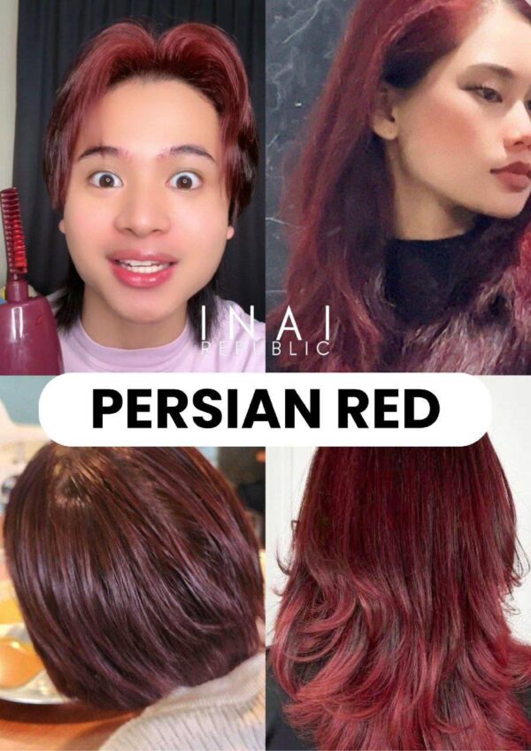 3 x Henna Hair Colour - Persian Red - 200ml - Image 3